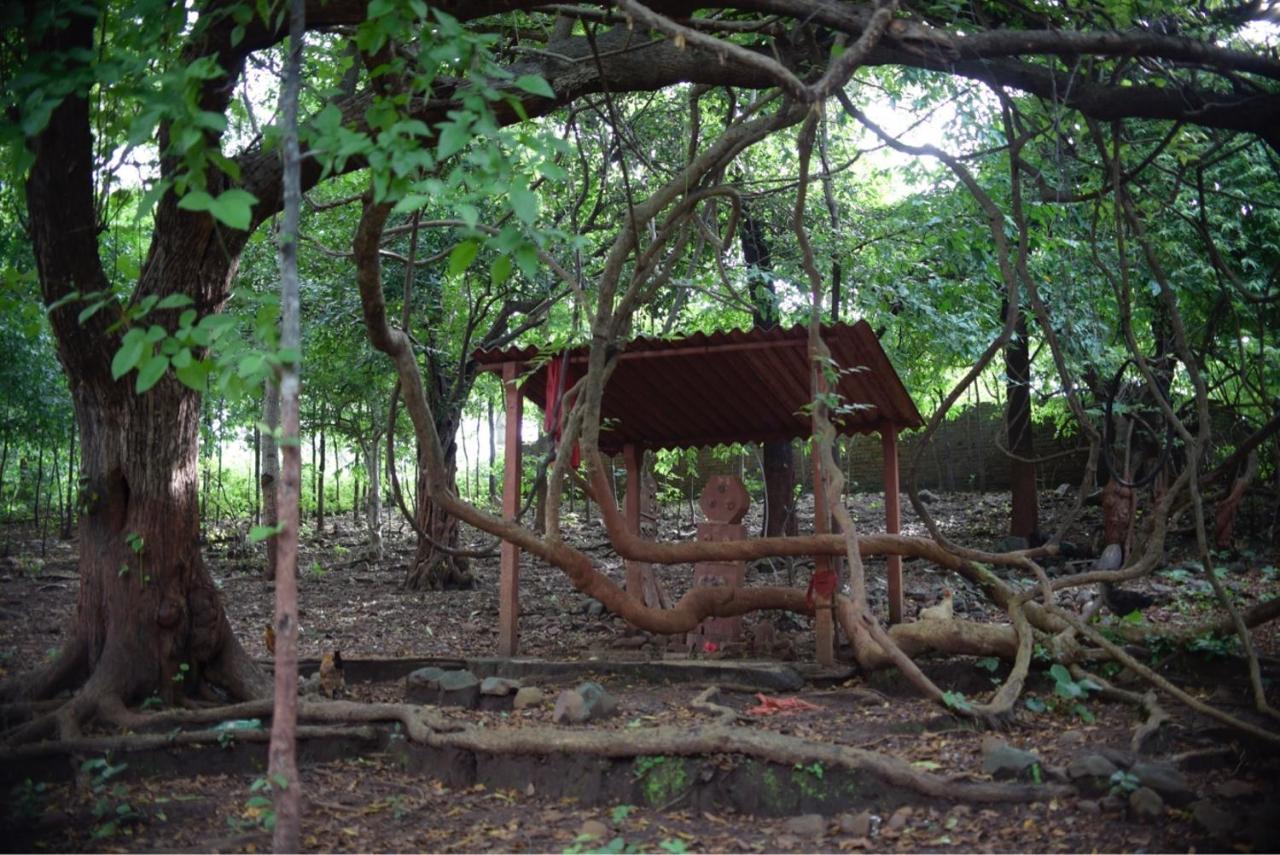 Zohra Baugh, A Green & Organic Farmhouse Stay With All Amenities Дахану Экстерьер фото